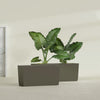 Panama Extra Large Long Rectangle Fiberglass Planter - 48 in x 12 in x 18 in - Matte Bronze - Matte Bronze,48 in x 12 in x 18 in