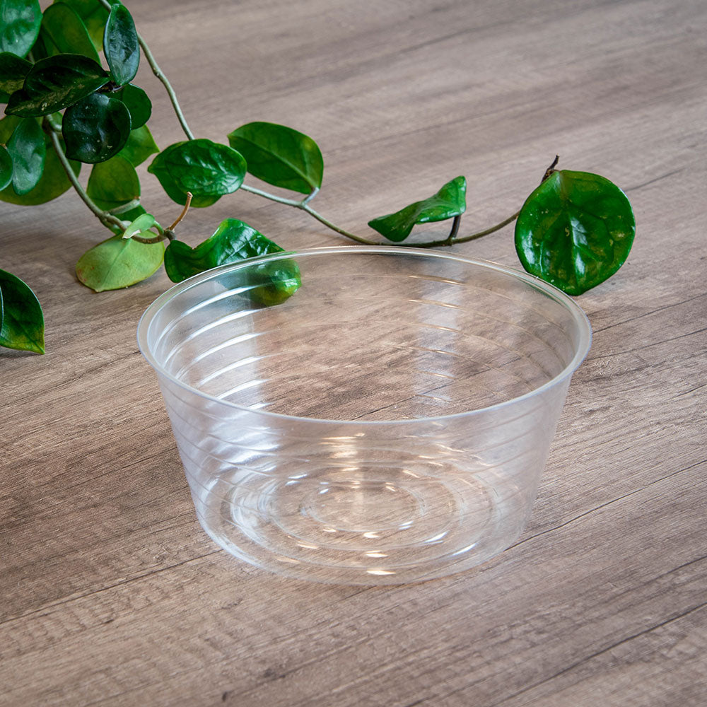 Deep Clear Vinyl Plant Saucers - 11" - Pack of 25 - Clear,11 in,Pack of 25