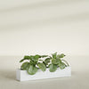 Salon Large Tall Rectangle Fiberglass Planter - 42 in x 8 in x 8 in - Gloss White - Gloss White,42 in x 8 in x 8 in