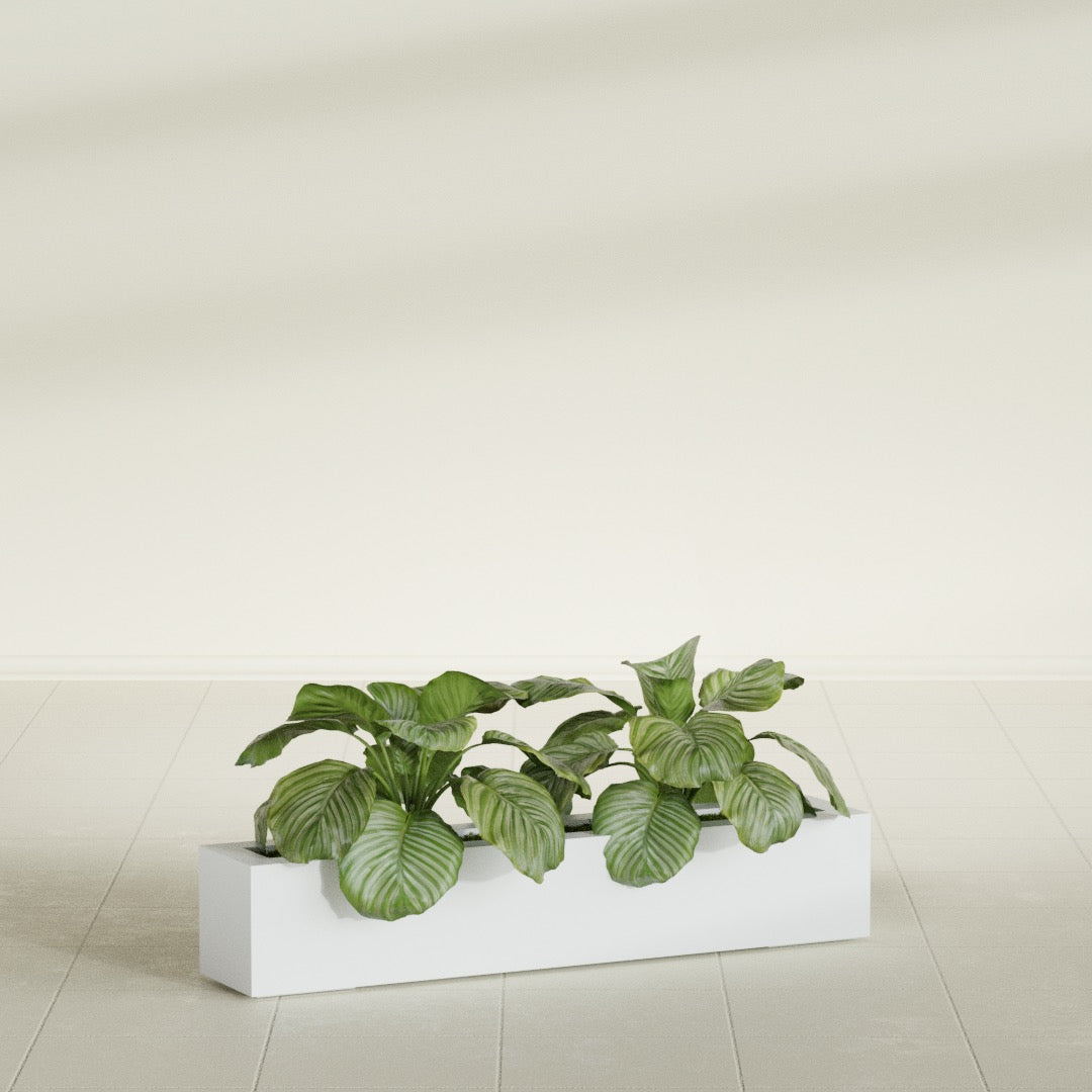 Salon Large Tall Rectangle Fiberglass Planter - 42 in x 8 in x 8 in - Gloss White - Gloss White,42 in x 8 in x 8 in