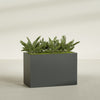 Brisbane Extra Large Long Rectangle Fiberglass Planter - 48 in x 24 in x 32 in - Matte Charcoal - Matte Charcoal,48 in x 24 in x 32 in