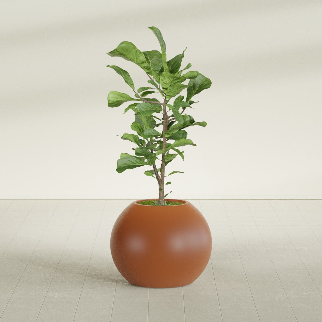 Globe Medium Sphere Fiberglass Planter - 24 in x 24 in x 19 in - Matte Terracotta - Matte Terracotta,24 in x 24 in x 20 in