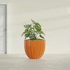 Santa Barbara Medium Round Fiberglass Planter - 23 in x 23 in x 20.3 in - Gloss Tangerine - Gloss Tangerine,23 in x 23 in x 20 in