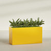 Brisbane Extra Large Long Rectangle Fiberglass Planter - 60 in x 24 in x 32 in - Gloss Saffron - Gloss Saffron,60 in x 24 in x 32 in