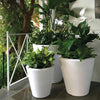 Dot with TruDrop™ Self-Watering - 16in diam. x 16in