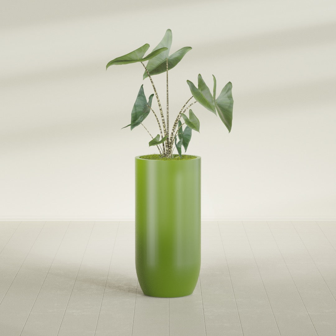 Saint Tropez Extra Large Tall Round Fiberglass Planter - 24 in x 24 in x 50 in - Satin Green - Satin Green,24 in x 24 in x 50 in
