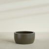 Casablanca Large Round Low Bowl Fiberglass Planter - 36 in x 36 in x 18 in - Matte Bronze - Matte Bronze,36 in x 36 in x 18 in
