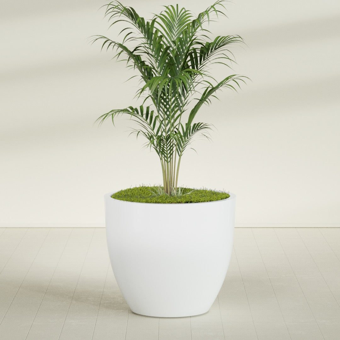 Wannsee Extra Large Round Fiberglass Planter - 50 in x 50 in x 44 in - Matte White - Matte White,50 in x 50 in x 44 in