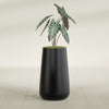 Saigon Large Tapered Round Planter - 16 in x 21 in x 36 in - Matte Black - Matte Black,16.4 in x 20.7 in x 36 in