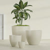 Wannsee Extra Large Round Fiberglass Planter - 50 in x 50 in x 44 in - Satin Beige - Satin Beige,50 in x 50 in x 44 in
