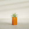 Hollywood Medium Rectangle Fiberglass Planter - 12 in x 12 in x 24 in - Gloss Tangerine - Gloss Tangerine,12 in x 12 in x 24 in