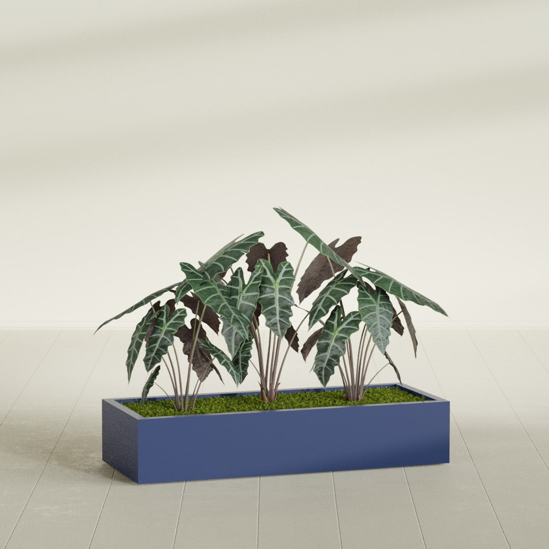 Antwerp Extra Large Long Rectangle Fiberglass Planter - 60 in x 24 in x 12 in - Matte Cobalt Blue - Matte Cobalt Blue,60 in x 24 in x 12 in