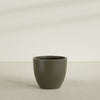Wannsee Large Round Fiberglass Planter - 39 in x 39 in x 34 in - Matte Bronze - Matte Bronze,39 in x 39 in x 34 in