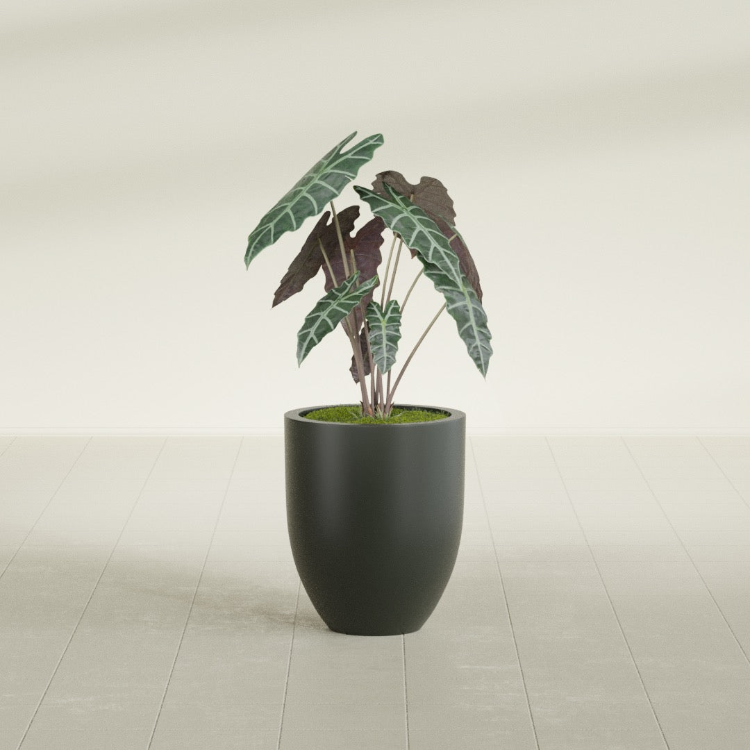 Valencia Small Round Fiberglass Planter - 15 in x 15 in x 18 in - Matte Charcoal - Matte Charcoal,15 in x 15 in x 18 in