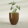 Valencia Large Round Fiberglass Planter - 27 in x 27 in x 31 in - Metallic Bronze - Metallic Bronze,27 in x 27 in x 31 in