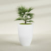Brannan Large Round Fiberglass Planter - 30 in x 30 in x 41 in - Gloss White - Gloss White,30 in x 30 in x 41 in