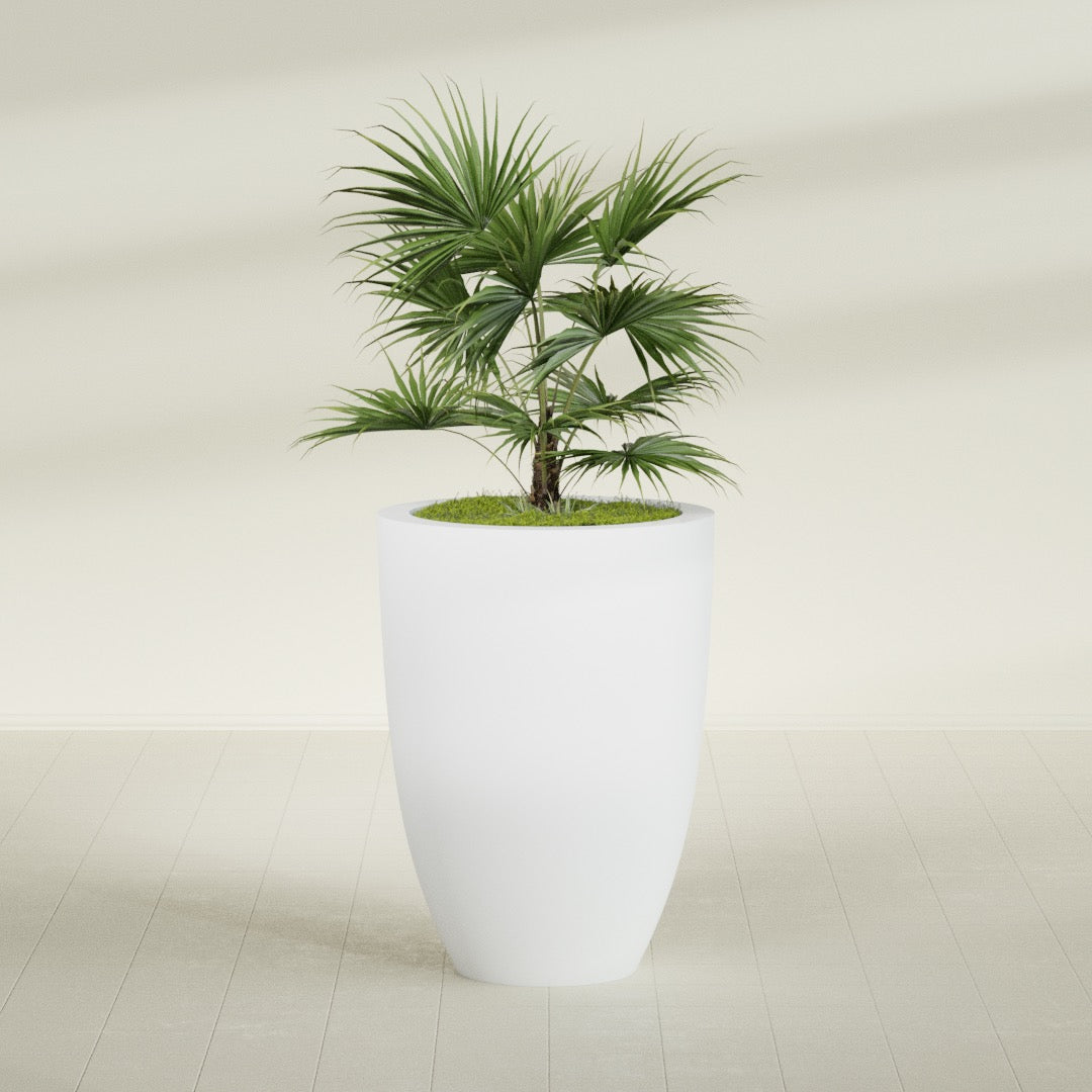 Brannan Large Round Fiberglass Planter - 30 in x 30 in x 41 in - Gloss White - Gloss White,30 in x 30 in x 41 in