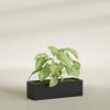 Reade Small Tabletop Rectangle Fiberglass Planter - 14 in x 5 in x 4.3 in - Matte Black - Matte Black,14 in x 5 in x 4.3 in