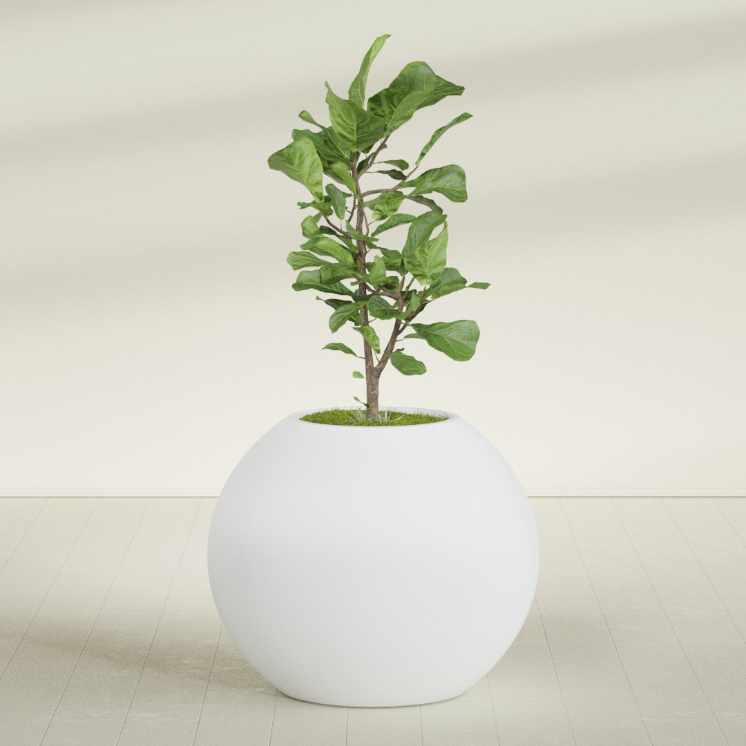 Globe Large Sphere Fiberglass Planter - 36 in x 36 in x 30 in - Gloss White - Gloss White,36 in x 36 in x 30 in