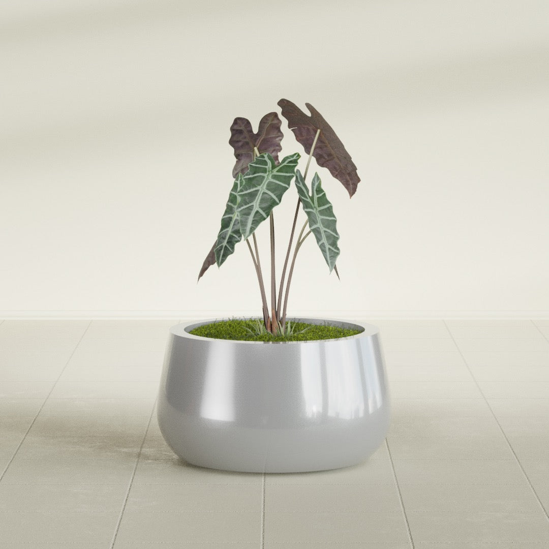 Short Hayden Small Round Fiberglass Planter - 16 in x 16 in x 8 in - Metallic Silver - Metallic Silver,16 in x 16 in x 8 in