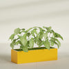 Reade Small Tabletop Rectangle Fiberglass Planter - 18 in x 6.5 in x 5 in - Gloss Saffron - Gloss Saffron,18.5 in x 6.5 in x 5 in