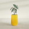 Tall Hayden Medium Round Fiberglass Planter - 12 in x 12 in x 20 in - Gloss Saffron - Gloss Saffron,12 in x 12 in x 20 in