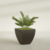 Lima Medium Tapered Square Fiberglass Planter - 24 in x 24 in x 24 in - Matte Brown - Matte Brown,24 in x 24 in x 24 in
