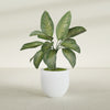 Alzira Medium Round Fiberglass Planter - 23 in x 23 in x 22 in - Gloss White - Gloss White,23 in x 23 in x 22 in