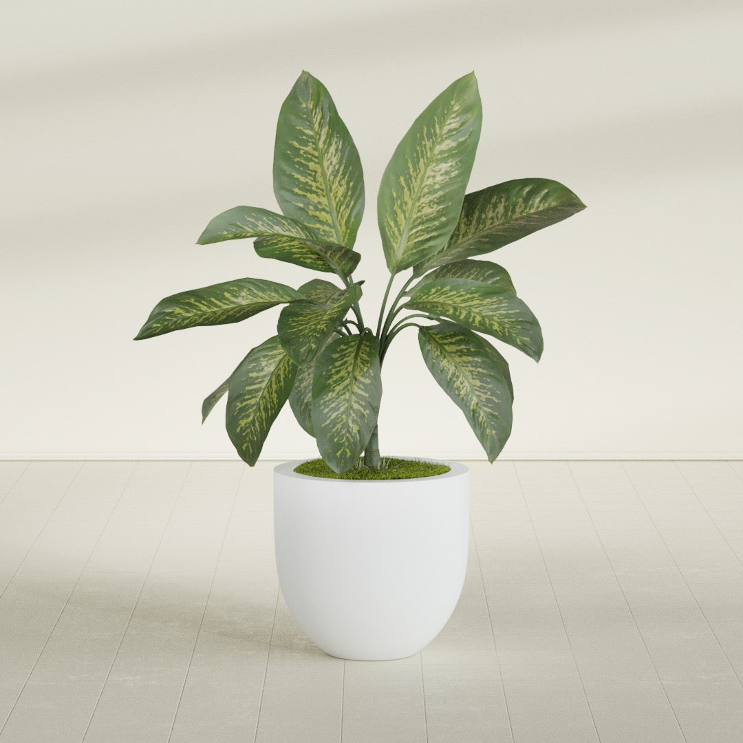Alzira Medium Round Fiberglass Planter - 23 in x 23 in x 22 in - Gloss White - Gloss White,23 in x 23 in x 22 in