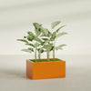 Torino Large Wide Rectangle Fiberglass Planter - 36 in x 24 in x 18 in - Gloss Tangerine - Gloss Tangerine,36 in x 24 in x 18 in
