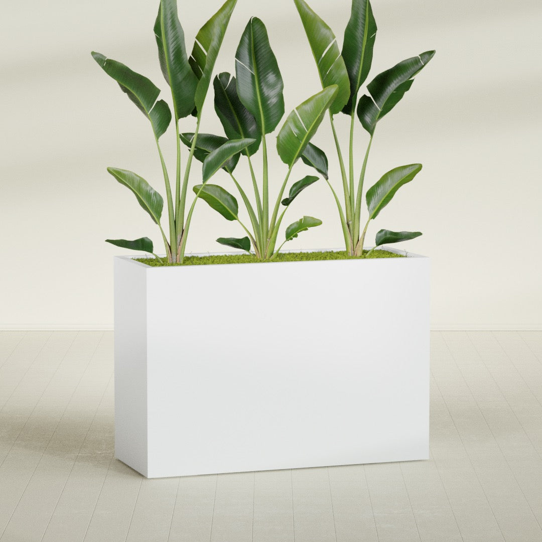 Darwin Extra Large Long Rectangle Fiberglass Planter - 60 in x 24 in x 42 in - Gloss White - Gloss White,60 in x 24 in x 42 in