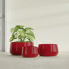 Short Hayden Small Round Fiberglass Planter - 12 in x 12 in x 7 in - Gloss Red - Gloss Red,12 in x 12 in x 7 in