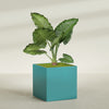 Montroy Extra Large Cube Square Fiberglass Planter - 48 in x 48 in x 48 in - Satin Sea Foam - Satin Sea Foam,48 in x 48 in x 48 in