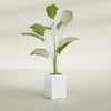 Tolga Medium Rectangle Fiberglass Planter - 16 in x 16 in x 24 in - Matte White - Matte White,16 in x 16 in x 24 in