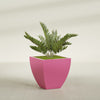 Lima Medium Tapered Square Fiberglass Planter - 24 in x 24 in x 24 in - Gloss Pink Violet - Gloss Pink Violet,24 in x 24 in x 24 in