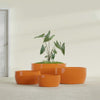 Casablanca Medium Round Low Bowl Fiberglass Planter - 24 in x 24 in x 12 in - Gloss Tangerine - Gloss Tangerine,24 in x 24 in x 12 in