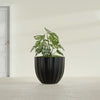 Santa Barbara Medium Round Fiberglass Planter - 23 in x 23 in x 20.3 in - Matte Black - Matte Black,23 in x 23 in x 20 in