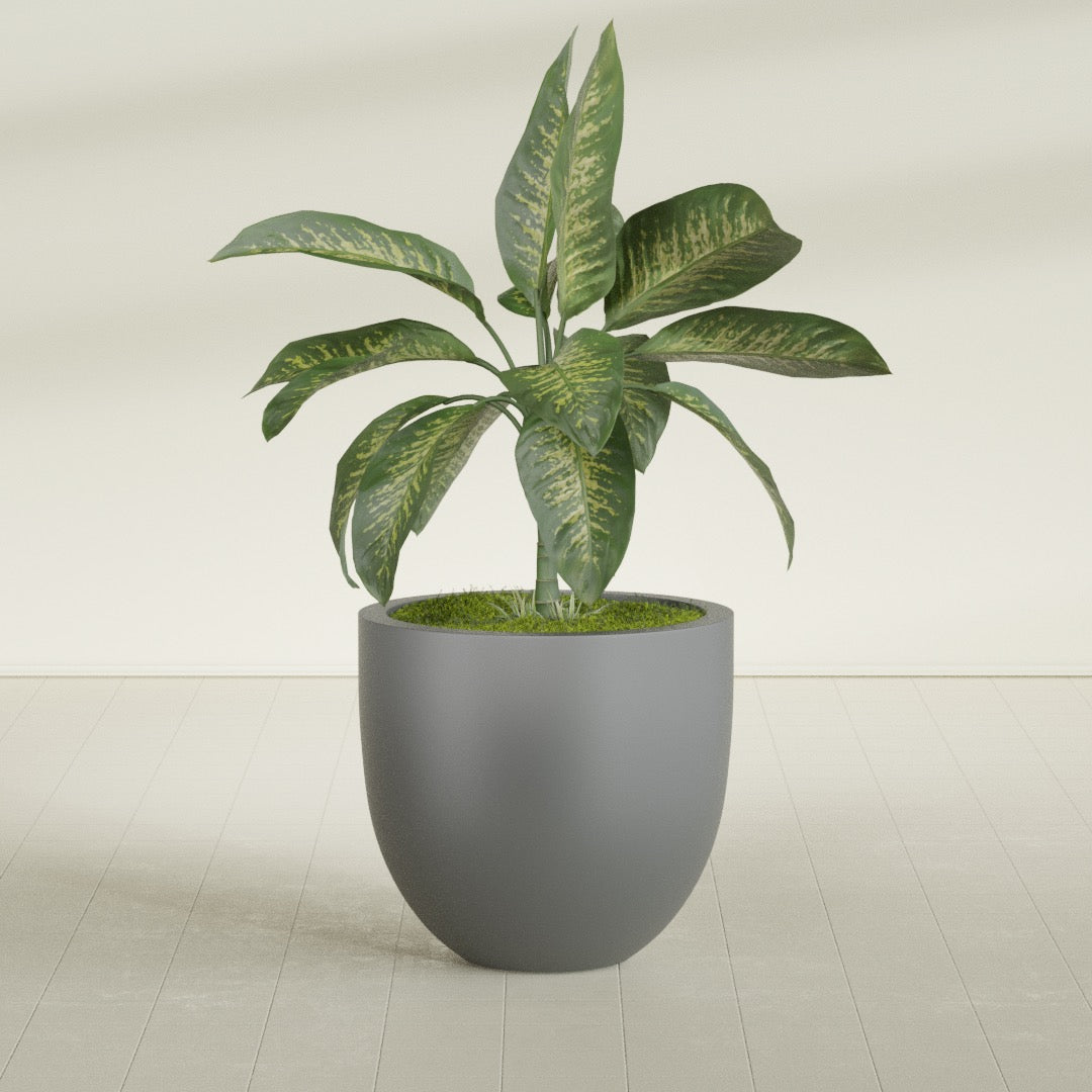 Alzira Large Round Fiberglass Planter - 30 in x 30 in x 28 in - Metallic Gunmetal - Metallic Gunmetal,30 in x 30 in x 28 in