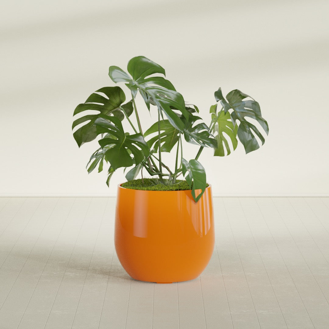 Westfield - 27in diam. x 25in - Gloss Tangerine - Gloss Tangerine,27 in diam. x 25 in H