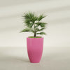 Brannan Large Round Fiberglass Planter - 24 in x 24 in x 35 in - Gloss Pink Violet - Gloss Pink Violet,24 in x 24 in x 35 in