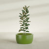 Casablanca Large Round Low Bowl Fiberglass Planter - 30 in x 30 in x 15 in - Satin Green - Satin Green,30 in x 30 in x 15 in