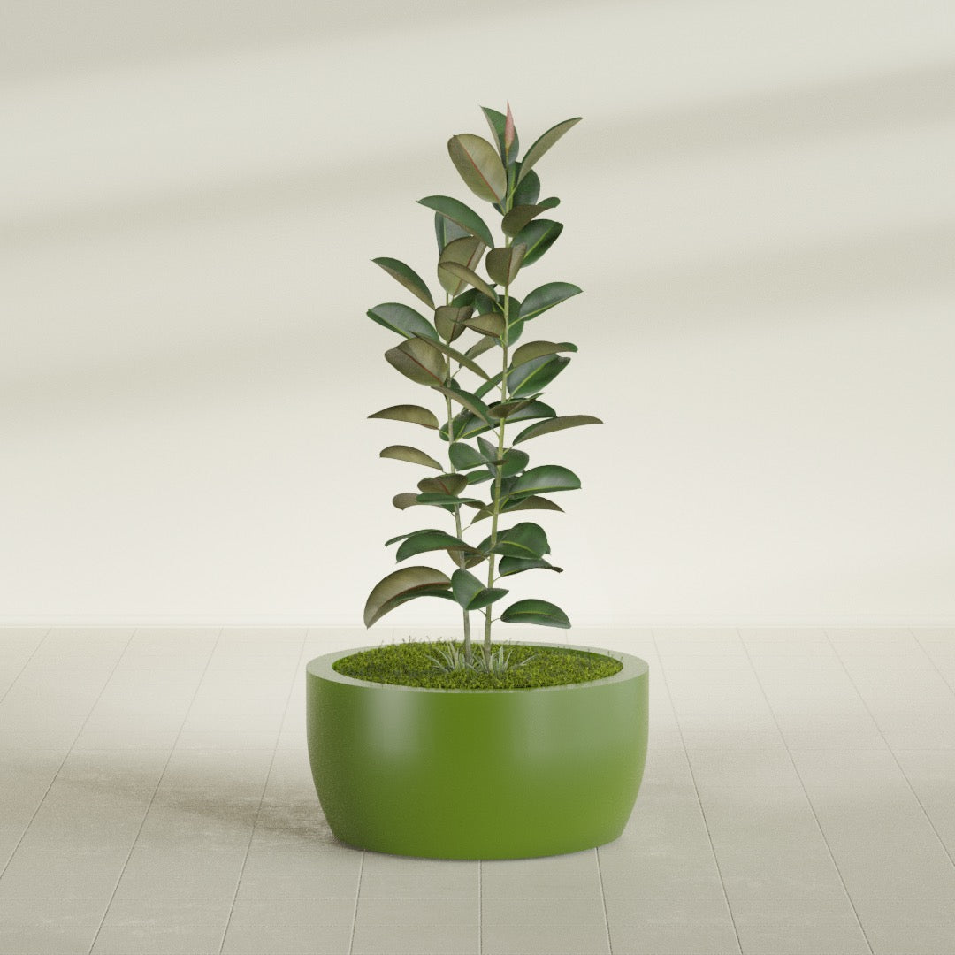 Casablanca Large Round Low Bowl Fiberglass Planter - 30 in x 30 in x 15 in - Satin Green - Satin Green,30 in x 30 in x 15 in