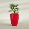 Brannan Large Round Fiberglass Planter - 30 in x 30 in x 41 in - Gloss Red - Gloss Red,30 in x 30 in x 41 in