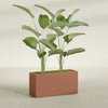 Tolga Extra Large Long Rectangle Fiberglass Planter - 48 in x 16 in x 24 in - Matte Terracotta - Matte Terracotta,48 in x 16 in x 24 in
