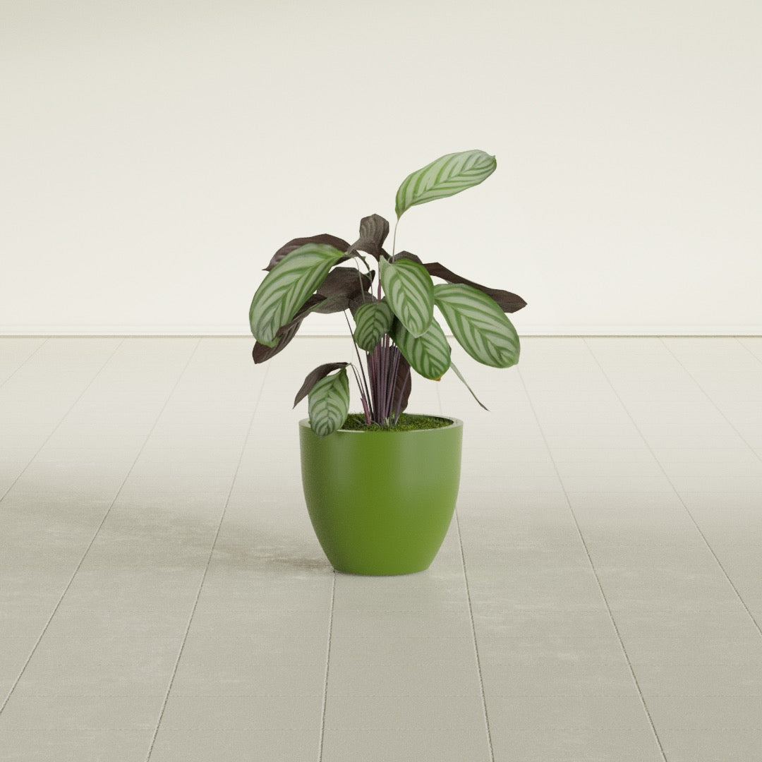 Wannsee Small Round Fiberglass Planter - 15 in x 15 in x 13 in - Satin Green - Satin Green,15 in x 15 in x 13 in