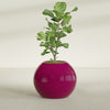Globe Large Sphere Fiberglass Planter - 30 in x 30 in x 24 in - Gloss Eggplant - Gloss Eggplant,30 in x 30 in x 24 in