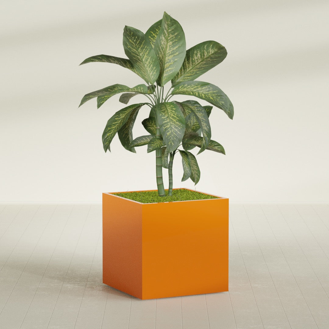Montroy Large Cube Square Fiberglass Planter - 36 in x 36 in x 36 in - Gloss Tangerine - Gloss Tangerine,36 in x 36 in x 36 in