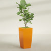 Toulan Large Tall Tapered Square Fiberglass Planter - 18 in x 18 in x 36 in - Gloss Tangerine - Gloss Tangerine,18 in x 18 in x 36 in