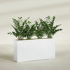 Milano Extra Large Narrow Rectangle Fiberglass Planter - 48 in x 10 in x 24 in - Gloss White - Gloss White,48 in x 10 in x 24 in