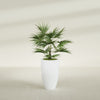 Brannan Medium Round Fiberglass Planter - 18 in x 18 in x 29 in - Matte White - Matte White,18 in x 18 in x 29 in